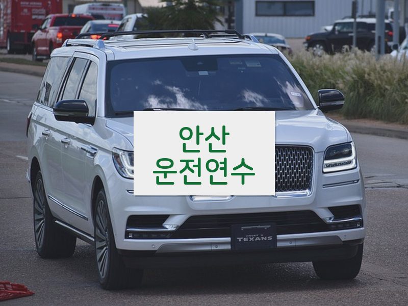 안산운전연수 후기