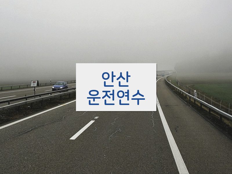 안산운전연수 후기