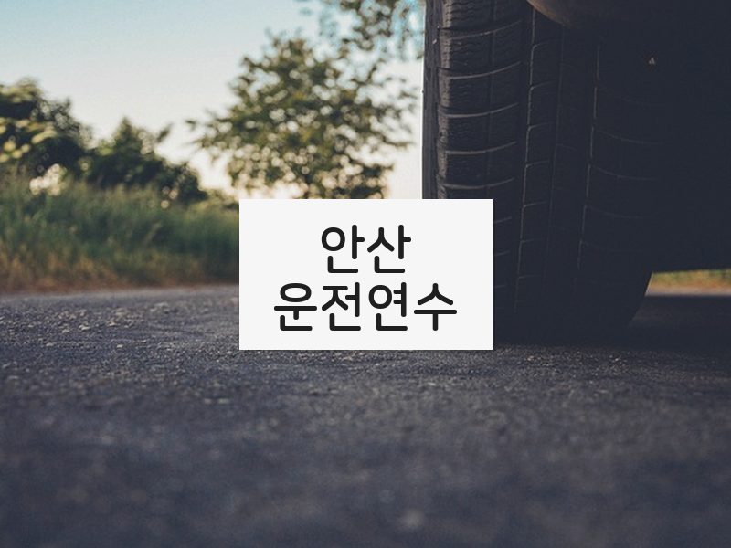 안산운전연수 후기