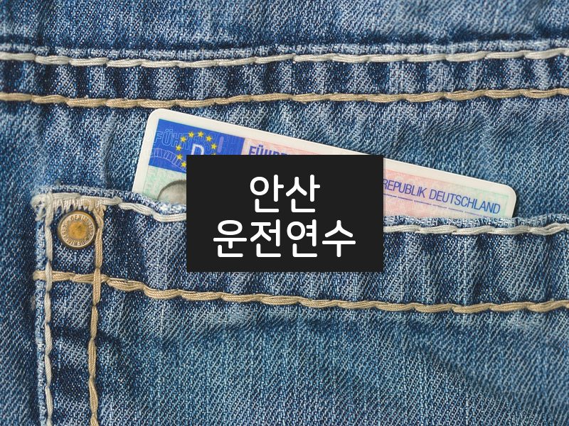 안산운전연수 후기