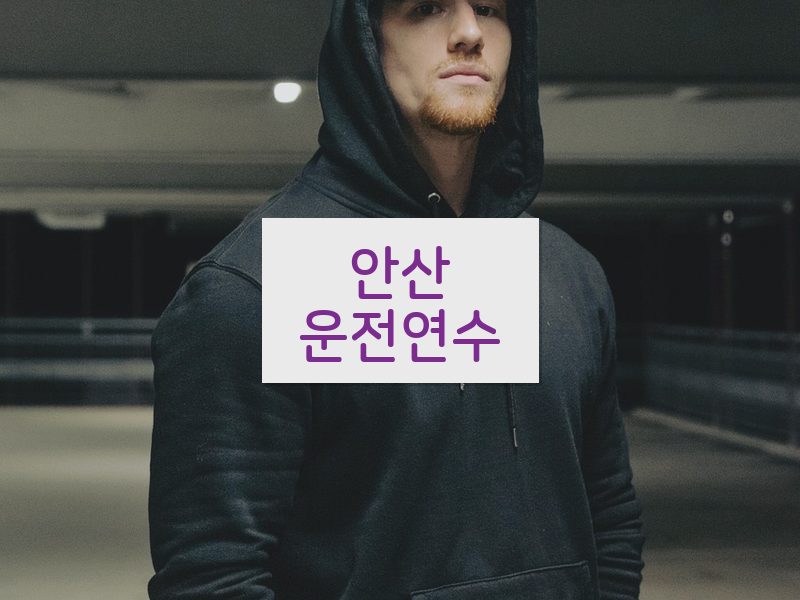 안산운전연수 후기