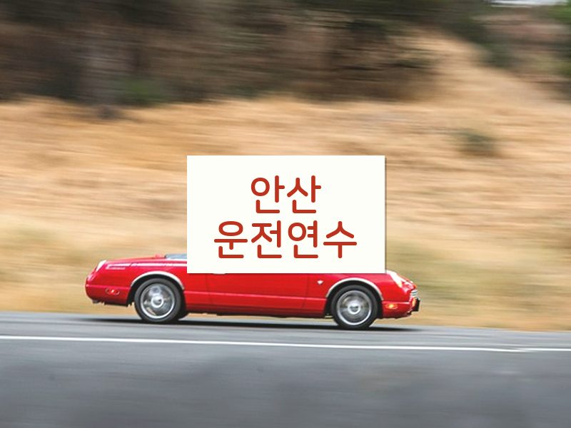 안산운전연수 후기