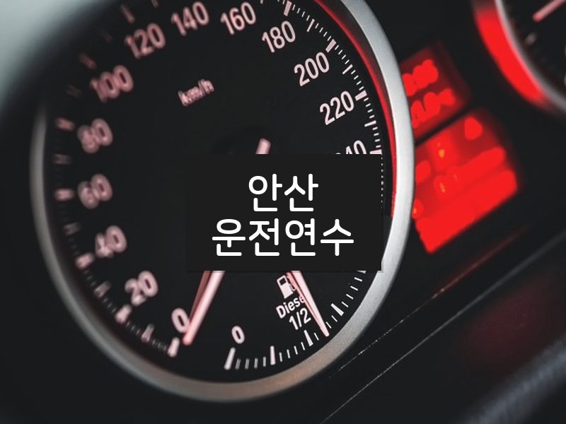 안산운전연수 후기