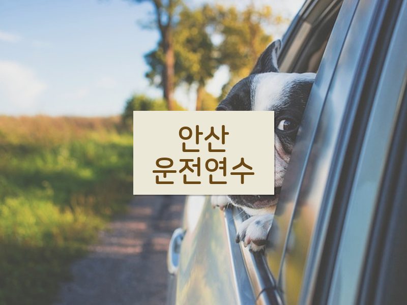 안산운전연수 후기