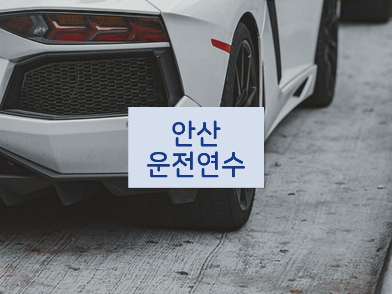 안산운전연수 후기