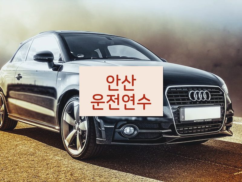 안산운전연수 후기