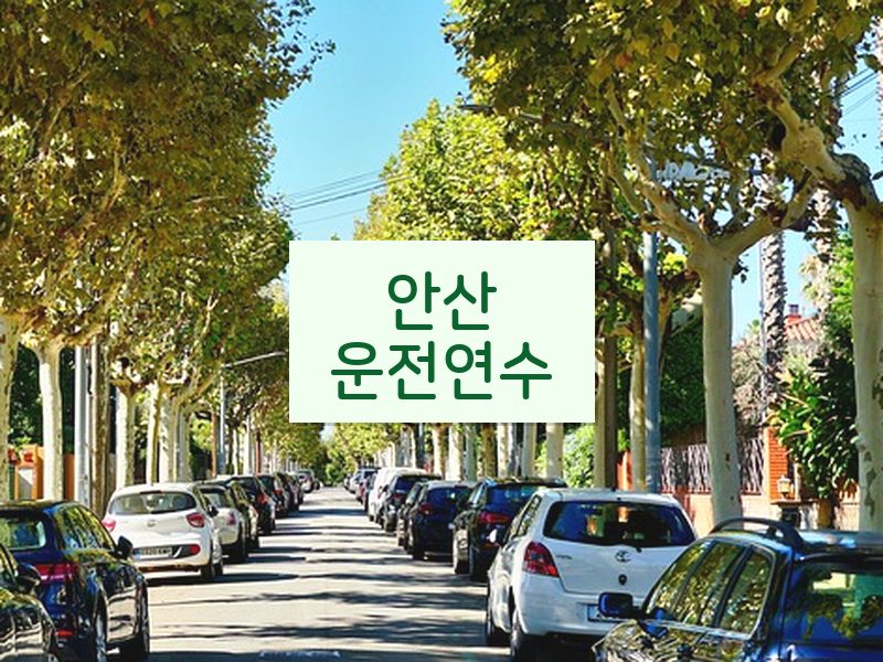 안산운전연수 후기