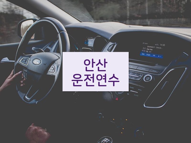 안산운전연수 후기