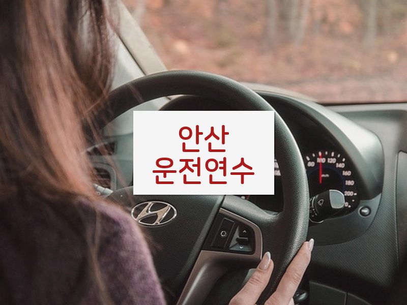 안산운전연수 후기