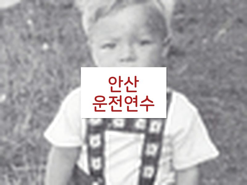 안산운전연수 후기