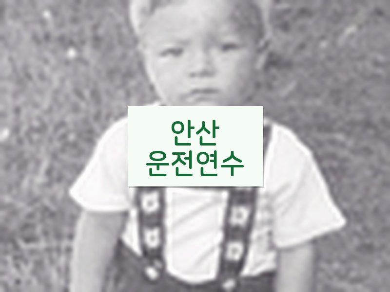 안산운전연수 후기