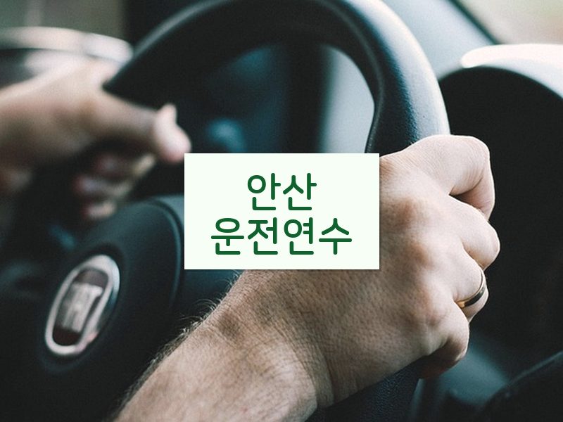 안산운전연수 후기