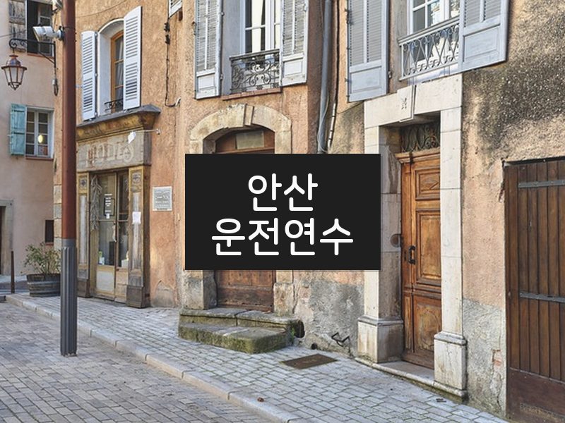 안산운전연수 후기
