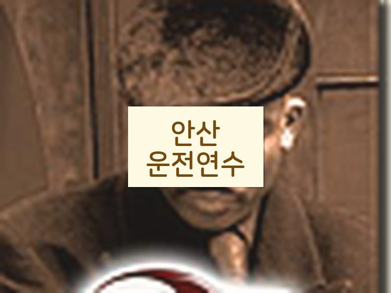 안산운전연수 후기