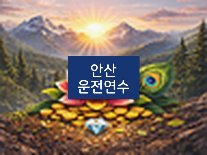 안산운전연수 후기