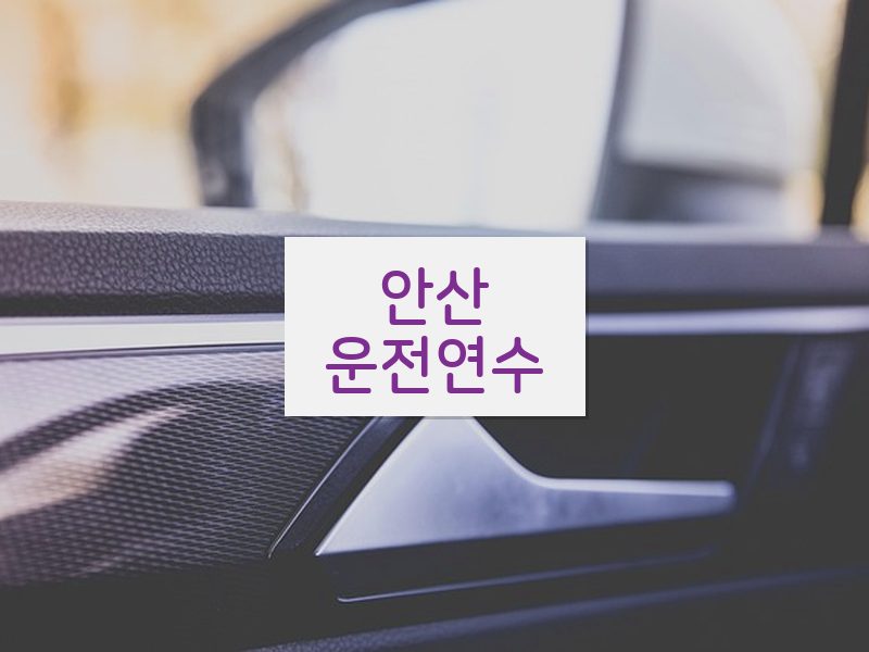 안산운전연수 후기