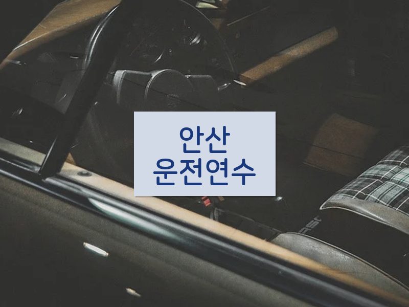 안산운전연수 후기