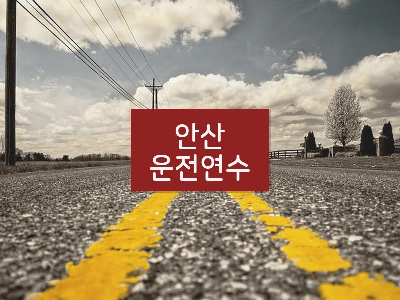 안산운전연수 후기