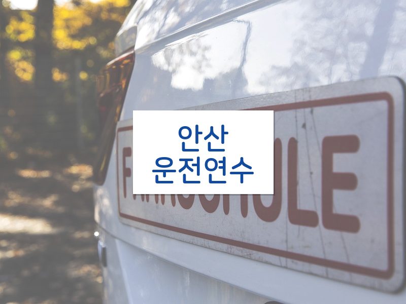 안산운전연수 후기