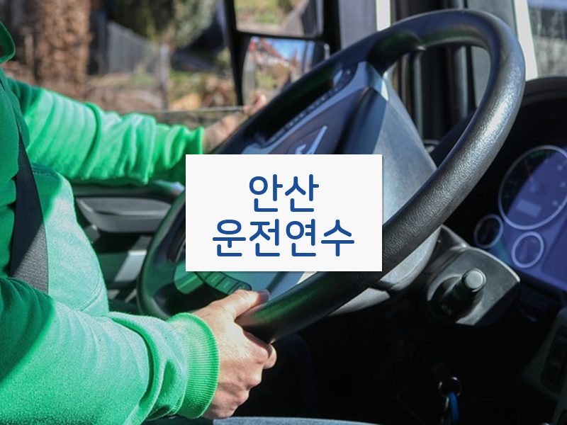 안산운전연수 후기