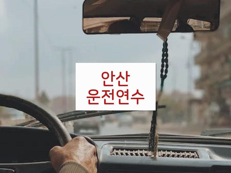 안산운전연수 후기