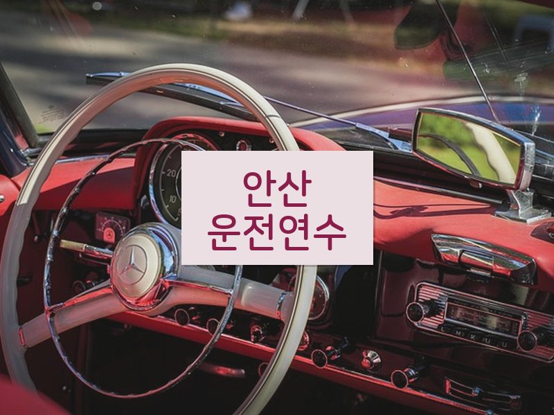 안산운전연수 후기