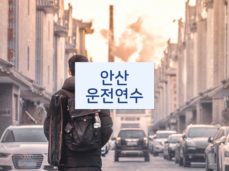안산운전연수 후기