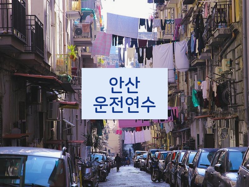 안산운전연수 후기