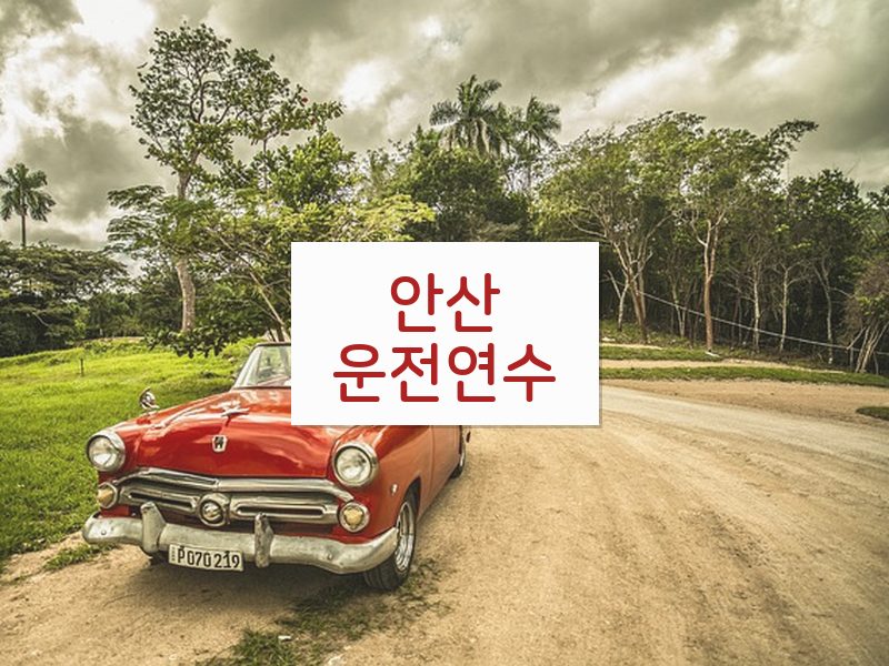 안산운전연수 후기
