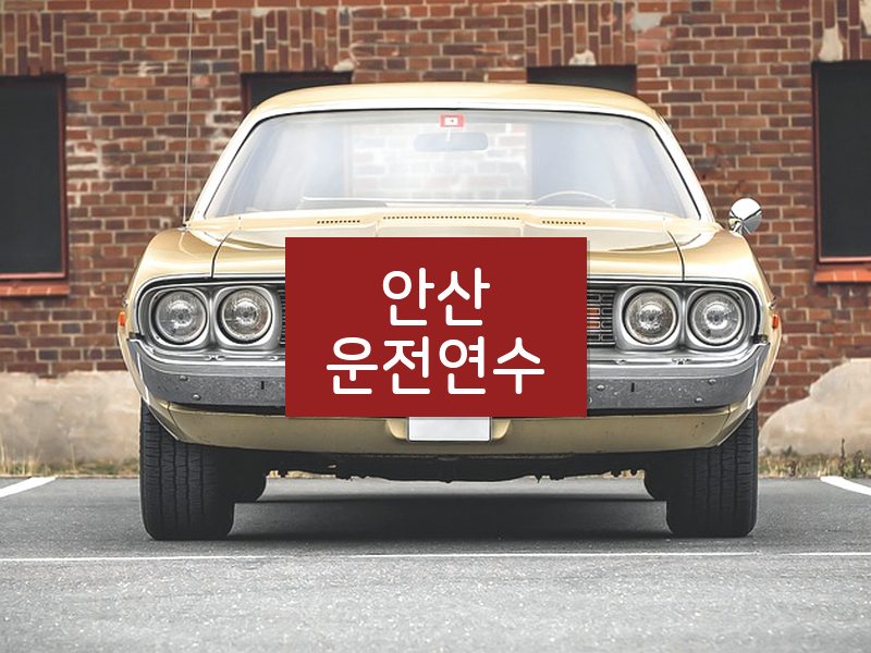 안산운전연수 후기