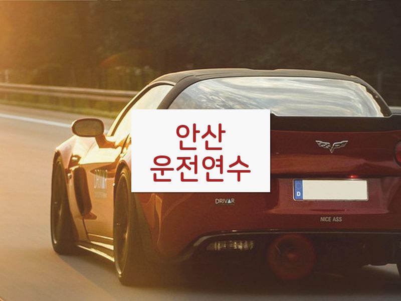 안산운전연수 후기