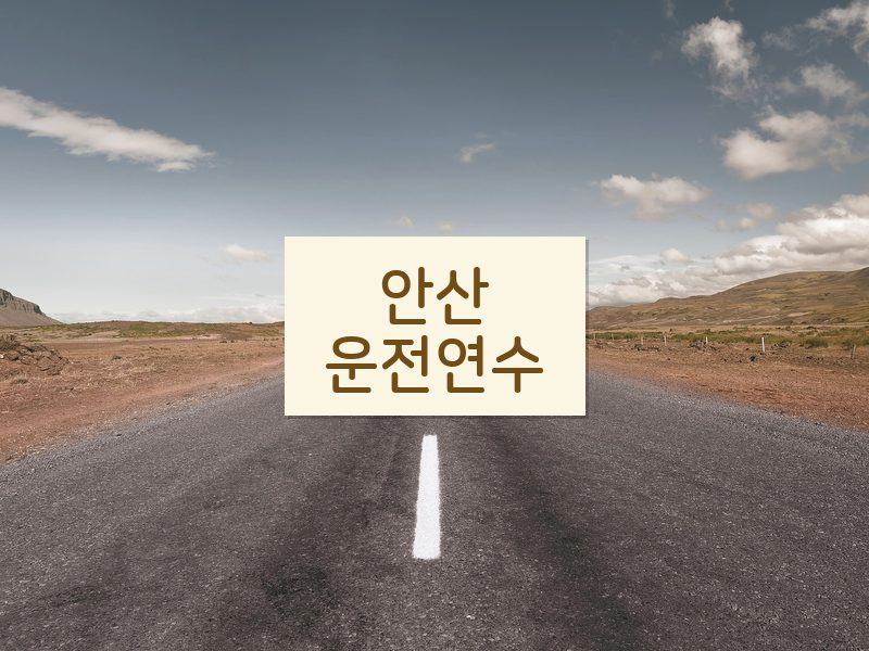 안산운전연수 후기