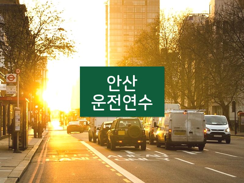 안산운전연수 후기