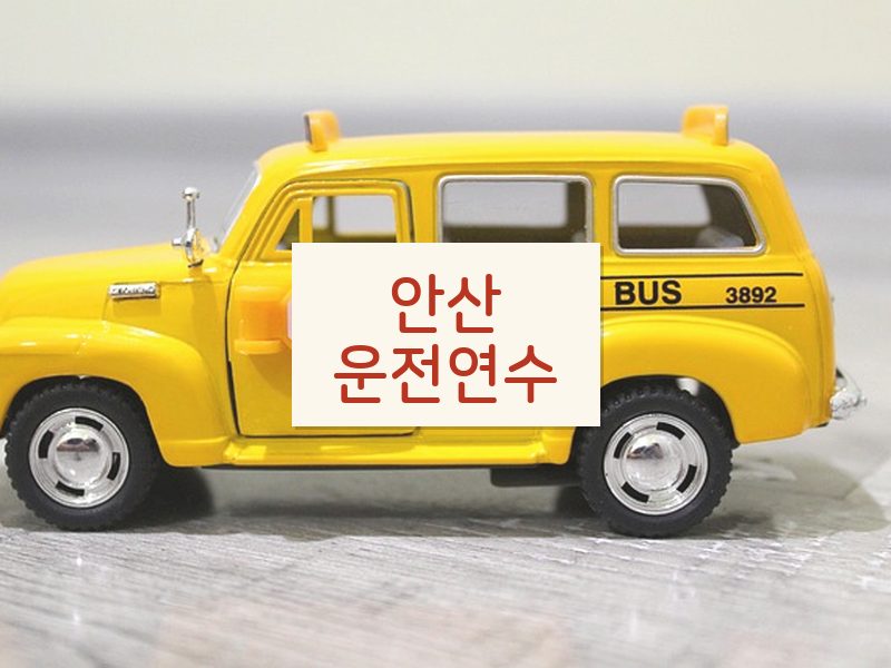 안산운전연수 후기
