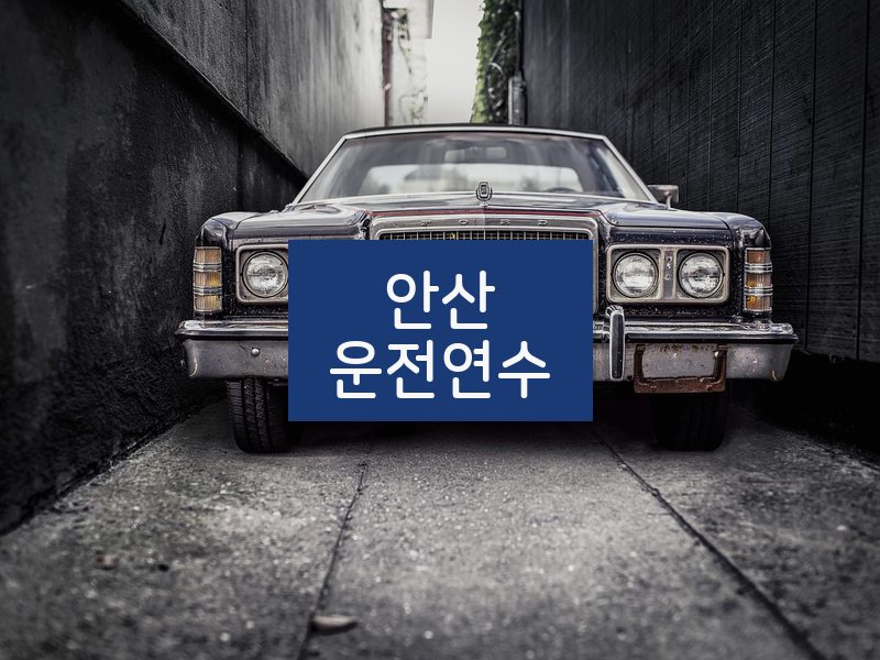 안산운전연수 후기