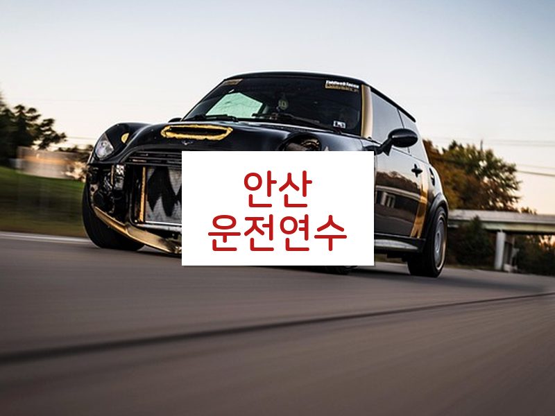 안산운전연수 후기