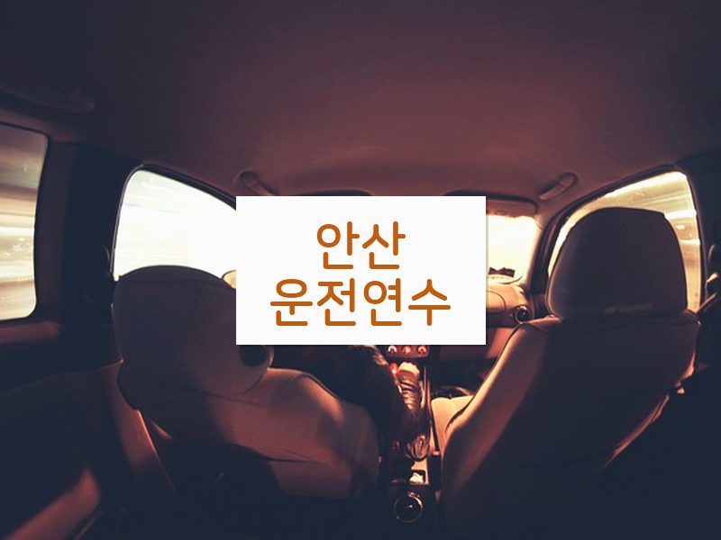 안산운전연수 후기