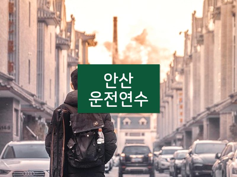 안산운전연수 후기