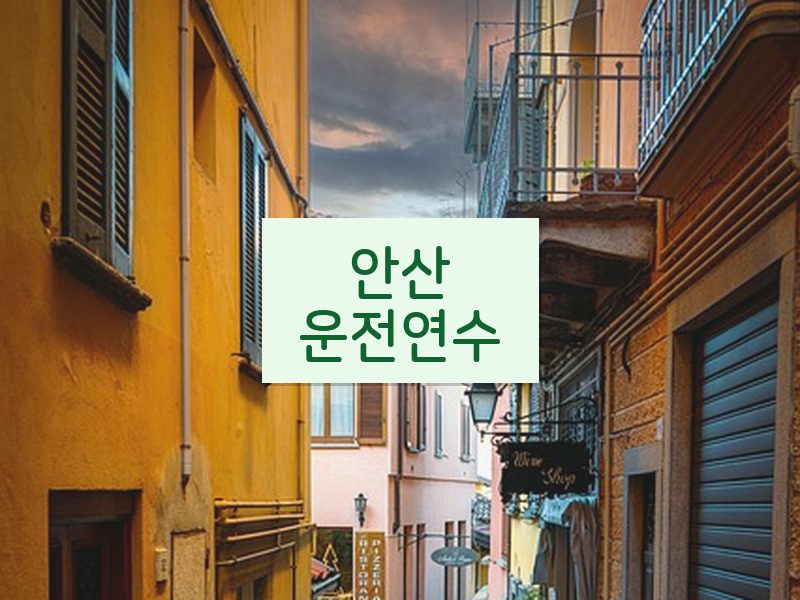 안산운전연수 후기