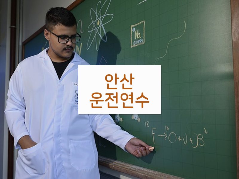안산운전연수 후기