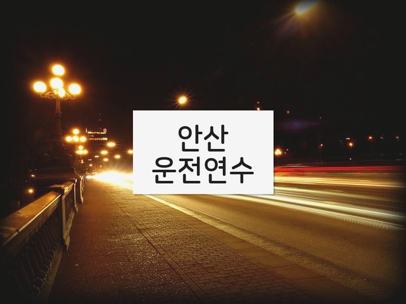 안산운전연수 후기