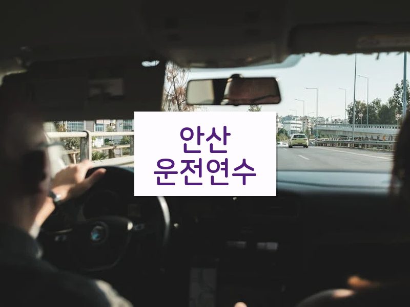 안산운전연수 후기