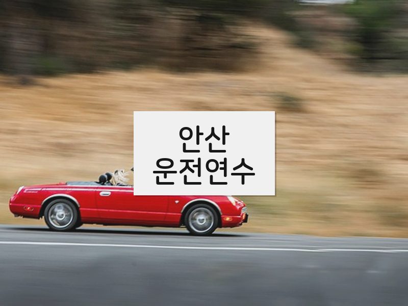 안산운전연수 후기
