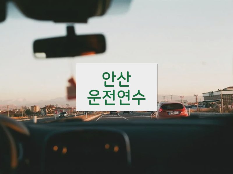 안산운전연수 후기