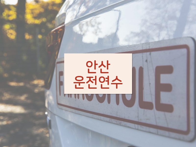 안산운전연수 후기