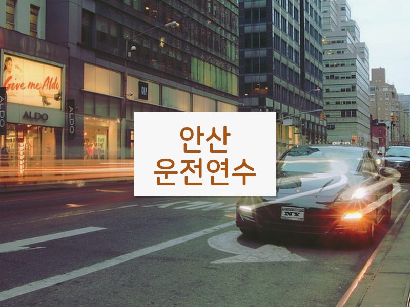 안산운전연수 후기
