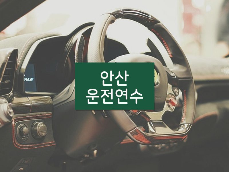 안산운전연수 후기