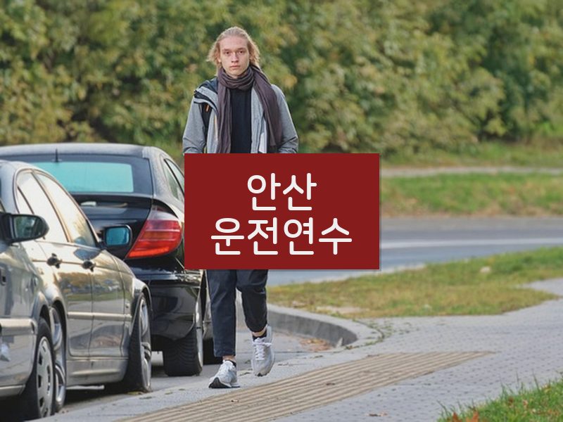 안산운전연수 후기