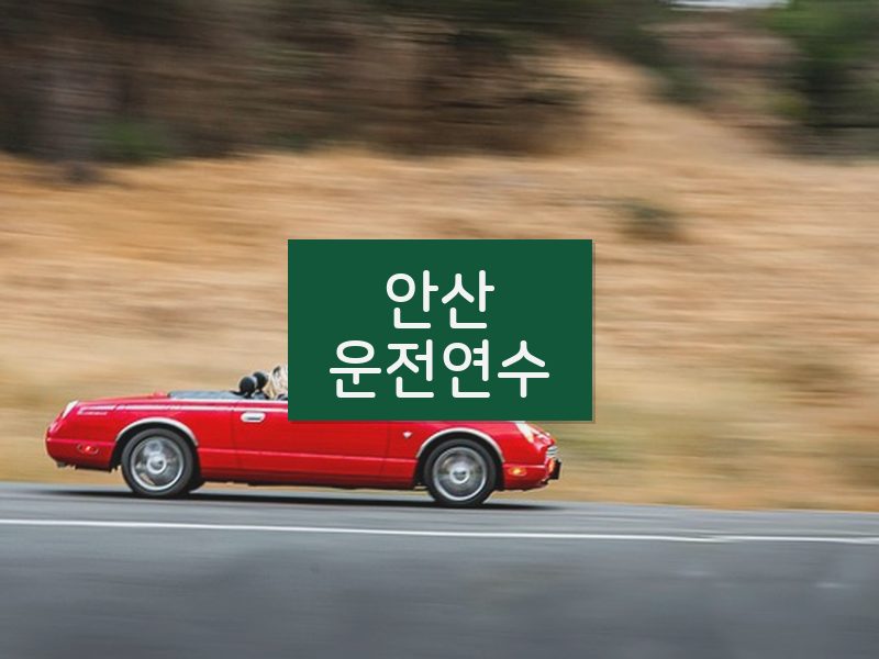 안산운전연수 후기