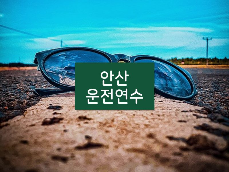 안산운전연수 후기
